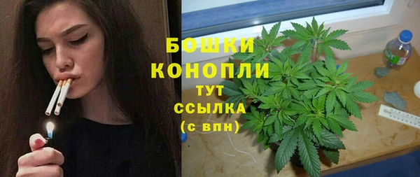 крисы Липки