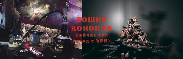 дмт Лиски