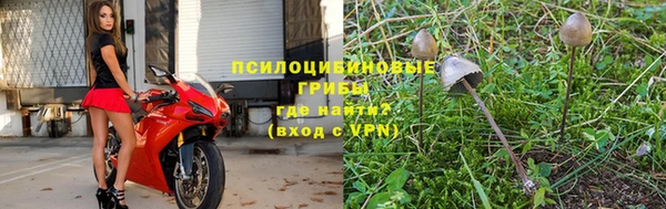 дмт Лиски