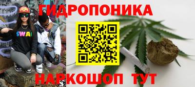 скорость Кандалакша