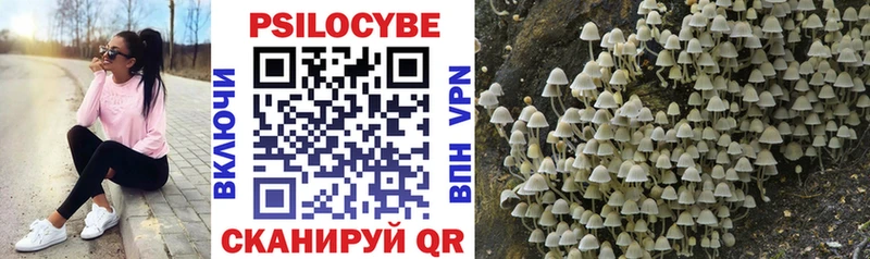 Псилоцибиновые грибы мицелий Тайшет