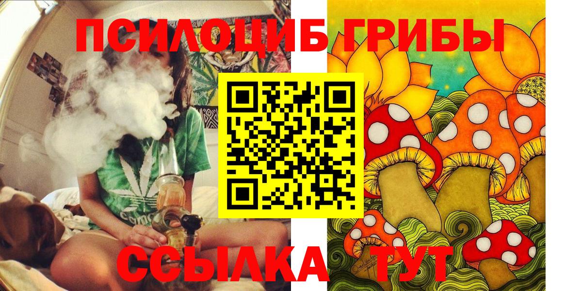 Псилоцибиновые грибы ЛСД Тайшет