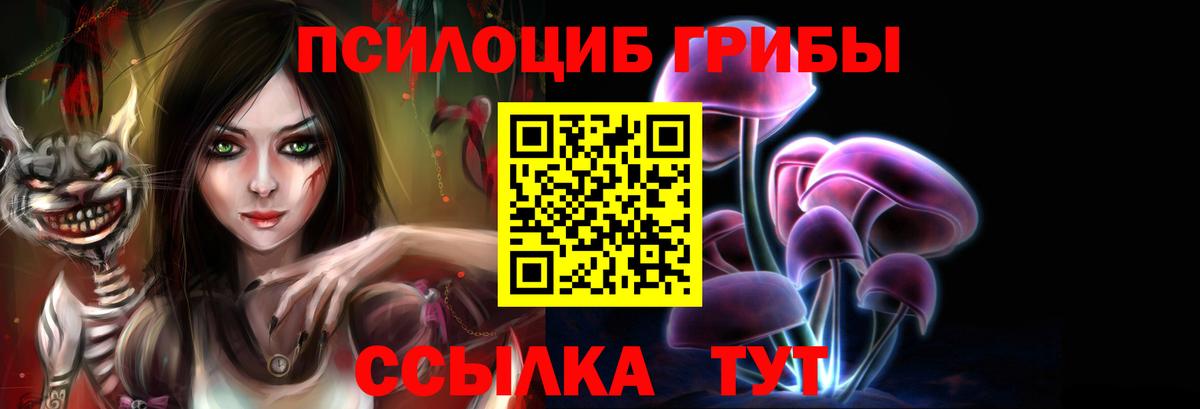 Галлюциногенные грибы Psilocybine cubensis  Вход с VPN  Тайшет 