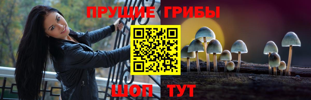 Марихуана Тайшет