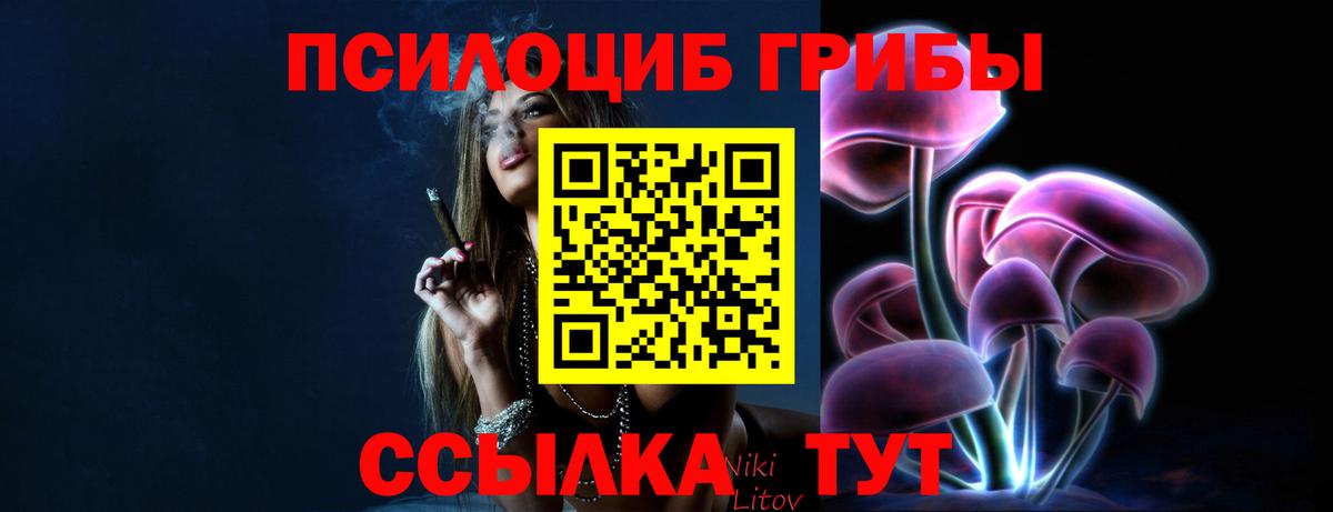 Галлюциногенные грибы мицелий Тайшет